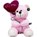 Valentines Day Teddy Bear Delivery Dhaka