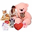 Teddy Bear Shop in Dhaka