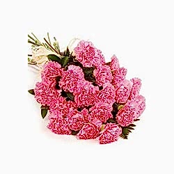 Send Twelve Pink Carnations to Dhaka in Bangladesh