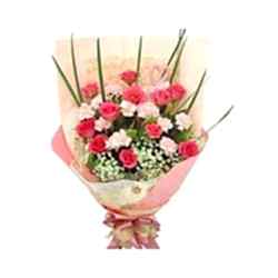 Send Pink Carnations & Red Rose to Dhaka in Bangladesh