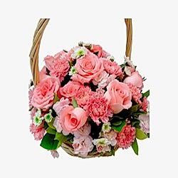 Send Carnations Basket to Dhaka in Bangladesh
