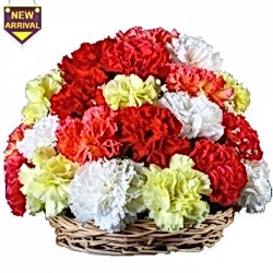 Send Colorful Carnations Basket to Dhaka in Bangladesh
