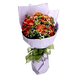 Send Dozen Orange Gerberas to Dhaka in Bangladesh