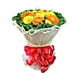 Send 19 Gerberas with Solidago to Dhaka in Bangladesh