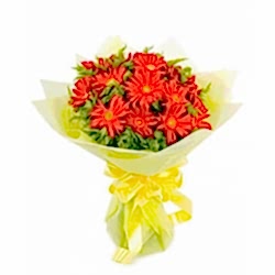 Send Twelve Red Gerberas to Dhaka in Bangladesh