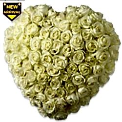 Send White Roses Purity Of Love to Dhaka in Bangladesh