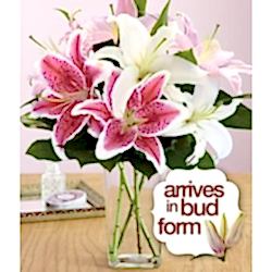 Send Spring Lilies bouquet to Dhaka in Bangladesh