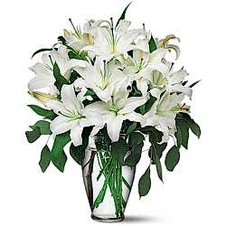 Send 12 Stalks White lilies with Green to Dhaka in Bangladesh