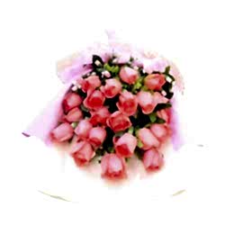 24 Pink Roses to bangladesh