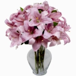 Send Pink Lilies with vase to Dhaka in Bangladesh
