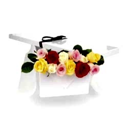 Send Mixed Roses to Dhaka in