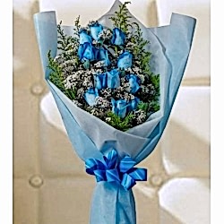 10pcs Blue rose to Bangladesh, Blue Rose Deliver to Bangadesh