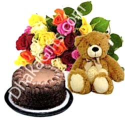 12 Mixed Roses,Brown Bear with Cake to Dhaka