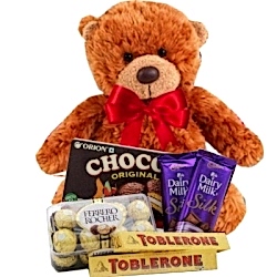 Send to Bear W/ Chocolates Bucket to Dhaka