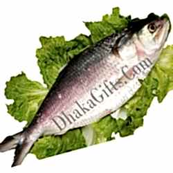 Send Hilsha in Bangladesh, Boishak Hilsha Delivery to Bangladesh