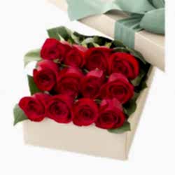 12 Red Roses in Box to Dhaka