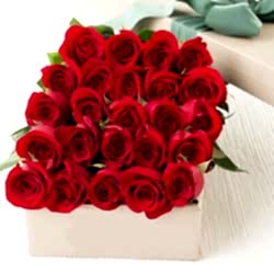 24 Red Roses in Box to Dhaka