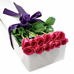 12 Pink Roses in Box to Dhaka