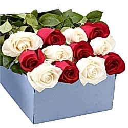 12 Red and White Roses in Box to Dhaka