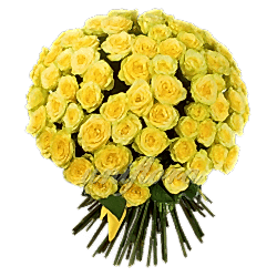 Send 36 Yellow Roses in Bouquet to Dhaka
