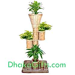 bamboo stand with live plants send to dhaka