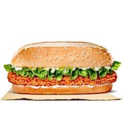 send long chicken burger to dhaka