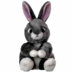send cute rabbit teddy to dhaka in bangladesh