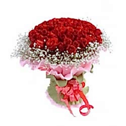 Send 36 Deep Feeling Red Roses to Dhaka