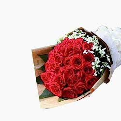 Send 24 Red Roses Bouquet with White Flower to Dhaka in Bangladesh