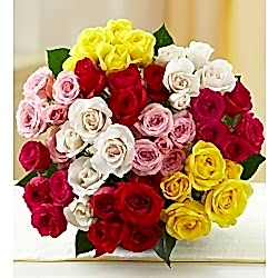 48 Mixed Color Roses Bouquet
