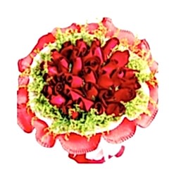 36 Red Roses Bouquet