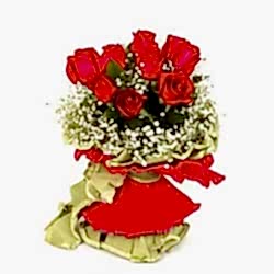 12 Red Roses with Baby's breath