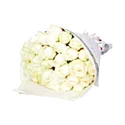 36 Snow Roses to Dhaka in Bangladesh