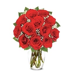 Send One Dozen Long Stemmed Red Roses to Dhaka in Bangladesh