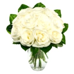 Send One Dozen White Roses to Dhaka in Bangladesh