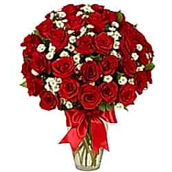 Send 3 Dozen Red Roses in FREE Vase to Dhaka in Bangladesh