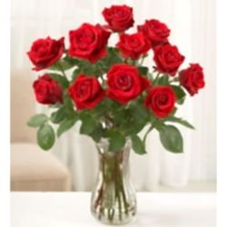 Send Classic 12 Red Rose in FREE Vase to Dhaka in Bangladesh