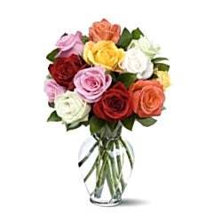 Send 12 Mixed Rainbow Roses to Dhaka in Bangladesh