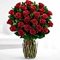 24 rainbow valentine's day roses send to dhaka