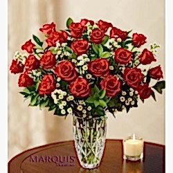 Send Beautiful Love 24 Red Roses with FREE vase to Dhaka in Bangladesh