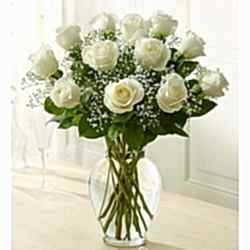 12 Long Stem White Roses send to dhaka