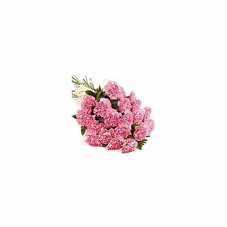 Send Twelve Pink Carnations to Dhaka in Bangladesh