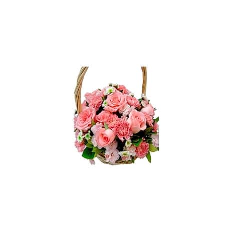Send Carnations Basket to Dhaka in Bangladesh
