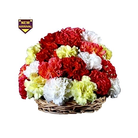 Send Colorful Carnations Basket to Dhaka in Bangladesh