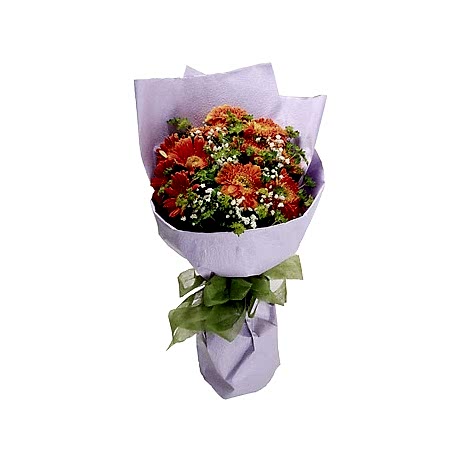 Send Dozen Orange Gerberas to Dhaka in Bangladesh