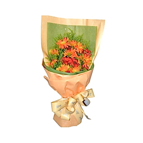 Send 10 Orange Gerberas to Dhaka in Bangladesh