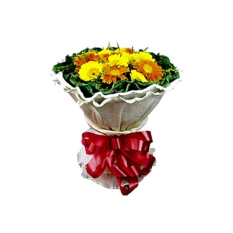 Send 19 Gerberas with Solidago to Dhaka in Bangladesh