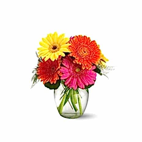 Send Nine Colors Gerberas in a Glass Vase to Dhaka in Bangladesh