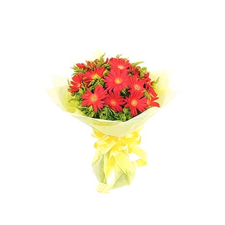 Send Twelve Red Gerberas to Dhaka in Bangladesh