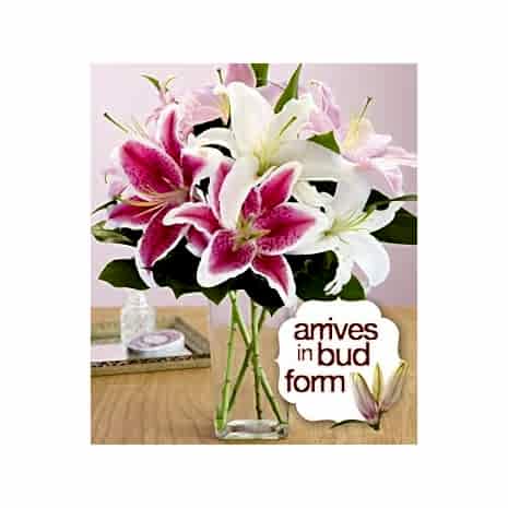 Send Spring Lilies bouquet to Dhaka in Bangladesh